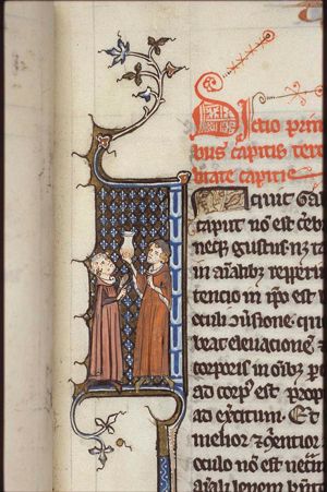 Physician instructing a pupil