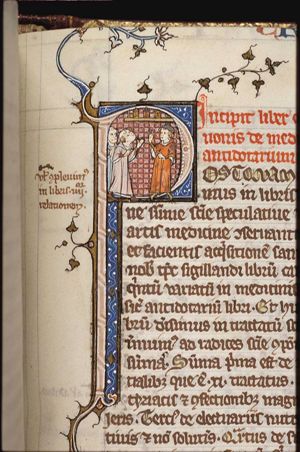 Physician instructing two pupils
