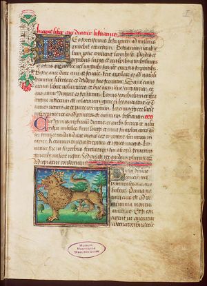 Leo (crowned lion)