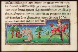 Tigris (Tiger), distracted by a mirror, is robbed from its young by a hunter on horseback