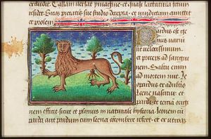Pardus (Asian panther)