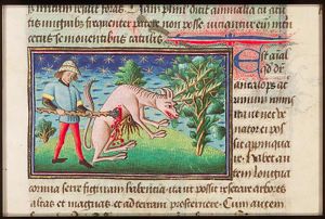 Antalops (a deer), entangled with its horns in a tree, is stabbed with a branch of a tree by a hunter