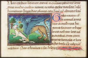 A griffin (eagle/lion) grabbing an animal (prey)