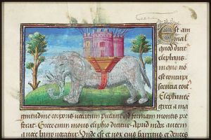 Elephas (an elephant) with howdah (houda) in the shape of a castle
