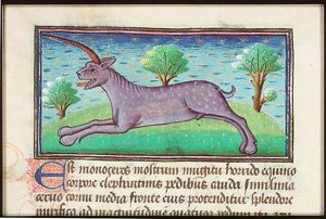 Monoceros (fabulous animal: can be a unicorn or a rinoceros)