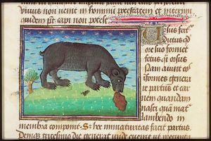 Ursus (a bear) licking its young into shape