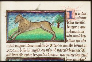 Leucrota (fabulous animal from India)