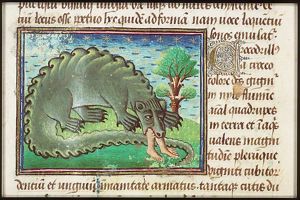 Crocodrillus (a crocodile) eating a man
