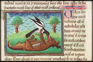 Vulpis (a fox) catching a bird by pretending being dead