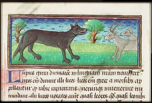 Lupus (a wolf) luring goats with its voice