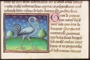 Grus (crane)