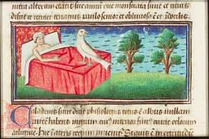 Caladrius, a fabulous bird, sits on the bed of a sick person; it predicts the coming death of this person by turning its head aside