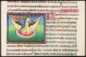Phoenix in a fire