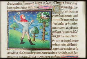 Cinomolgus (an Arabian bird; also: Cinnamolgos) on a bird's nest, a man hurling a stone at the bird with a sling