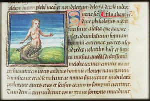 A Siren (half fish, half human); mermaid