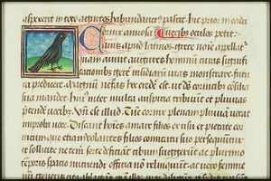 Cornix (crow)