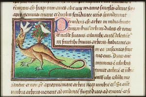 A dragon kills a dove that was caught out of the tree Perindens or its shadow