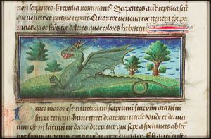 A dragon