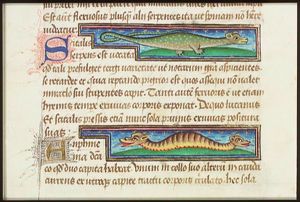A serpent (Scitalis)