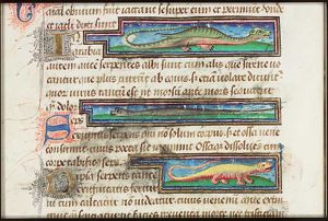 Sirene (fabulous snake; also: Syrene)