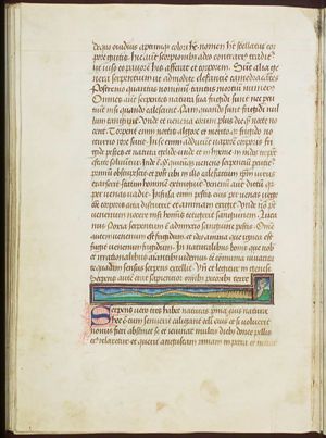 A serpent