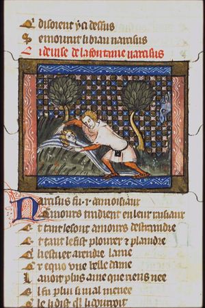 Amant at the fountain of Narcissus