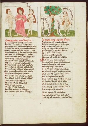 Gods brings Eve to Adam; institution of marriage