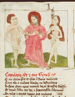 Gods brings Eve to Adam; institution of marriage