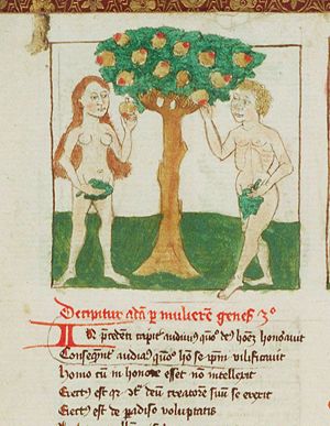 The fall of man: Adam and Eve eat from the Tree of Knowledge of Good and Evil