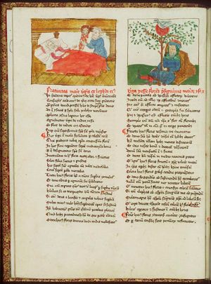 Birth of Mary