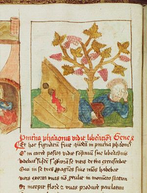 The butler's dream: the grape-vine with three branches