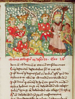 Gathering of the manna