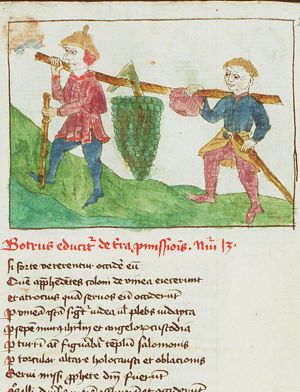 The spies return from Canaan carrying a large bunch of grapes