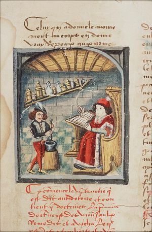 Physician reading a book and his apprentice preparing medicine