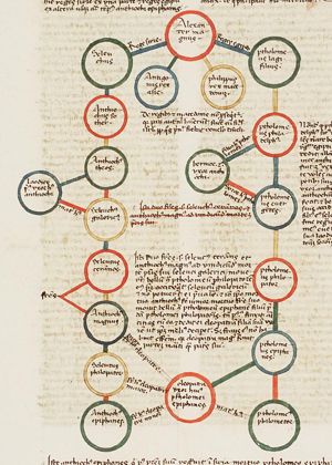 A series of rulers from Alexander the Great to Cleopatra