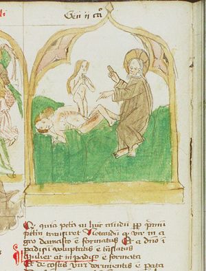 The Creation: God forms Eve from Adam's rib