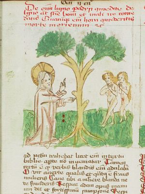 God warns Adam and Eve not to eat from the tree of Knowledge of Good and Evil