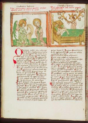 Annunciation of the birth of Mary to Anna by an angel