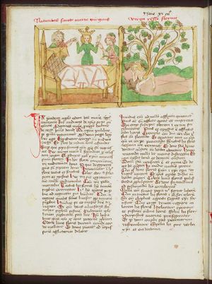 Birth of Mary