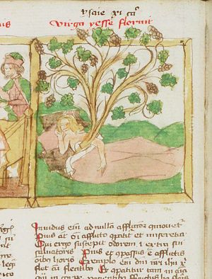Isaiah's prophecy of the Tree of Jesse