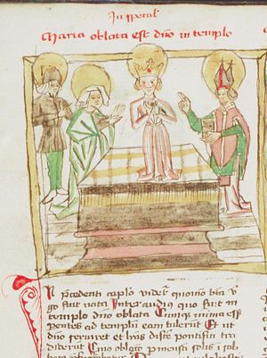 Presentation of Mary in the temple