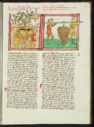 Parable of the vineyard: the servants cast the lord's son out of the vineyards and kill him