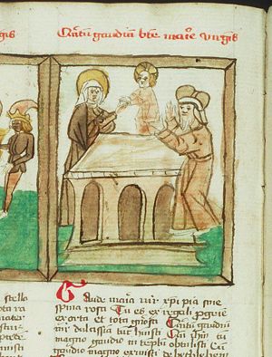 Seven joys of Mary (5): the Presentation in the temple