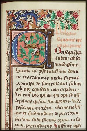 Device of Mons Wattena