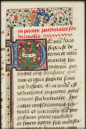 Device of Mons Wattena