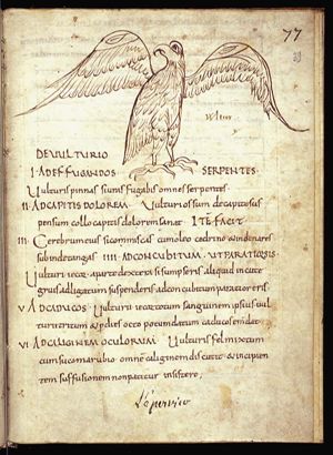 Vulturius