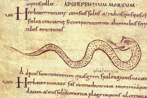 Serpens