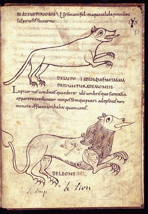 Lupus