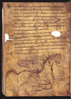 Equus (horse)
