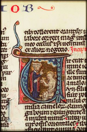 Job on the dunghill is tormented by his wife
